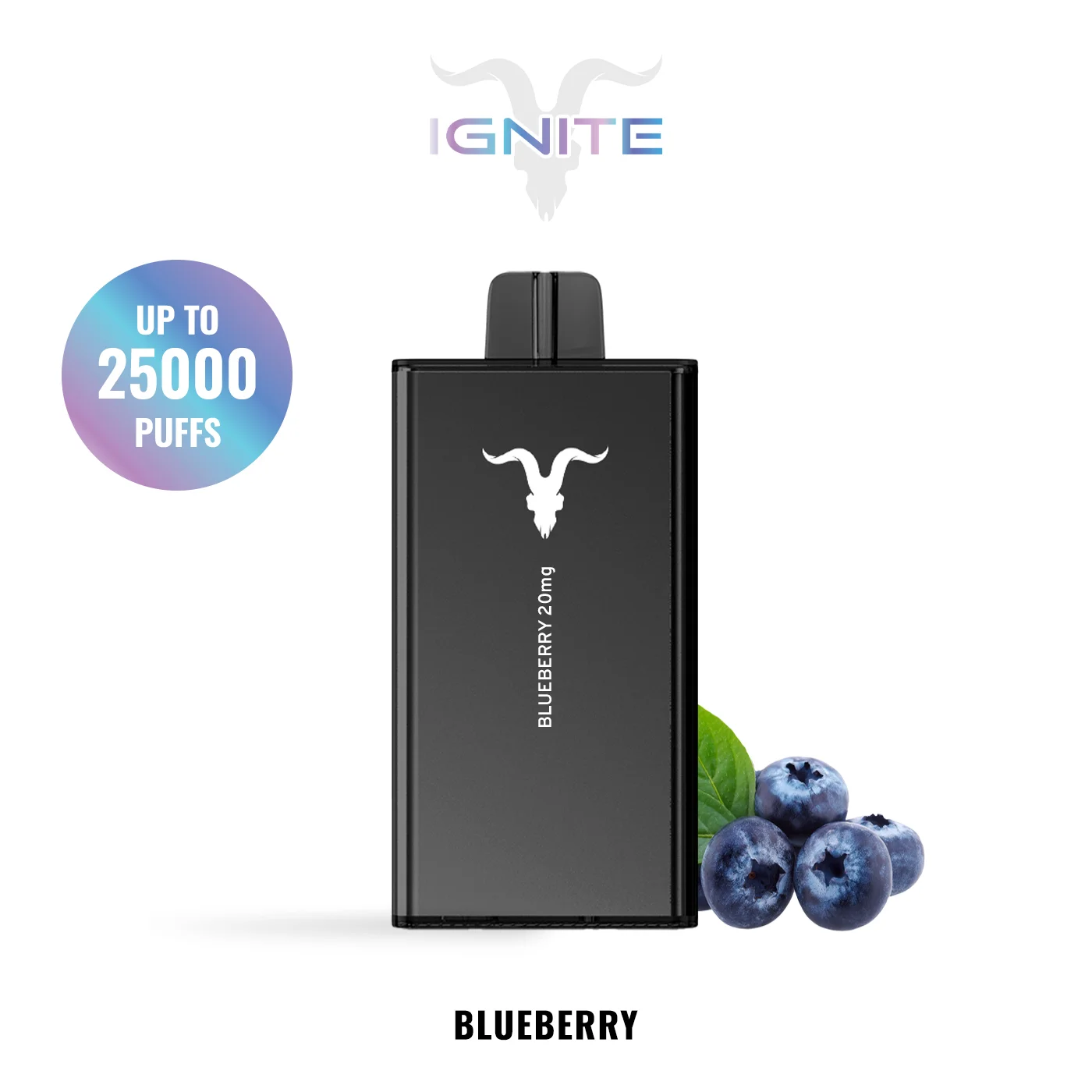 IGNITE V250 BLUEBERRY