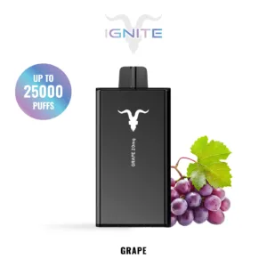 IGNITE V250 - GRAPE 38 IGNITE V250 - GRAPE