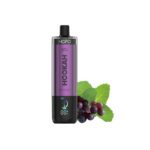 BRO HOPO HOOKAH DTL 25K PUFFES – Grape 3 BRO HOPO HOOKAH DTL 25K PUFFES – Grape - grape mint hopo 50k